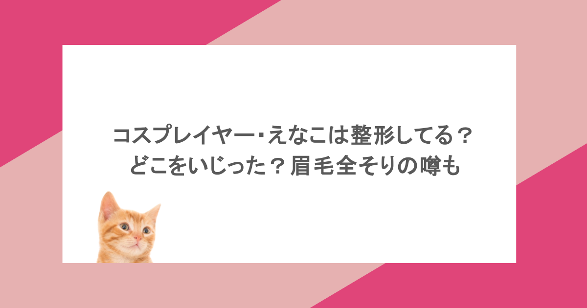 コスプレイヤー・えなこは整形してる？どこをいじった？眉毛全そりの噂も