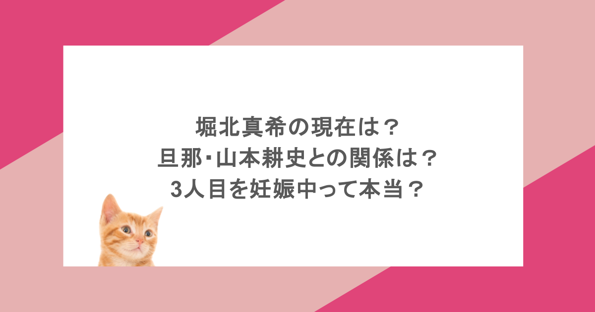 堀北真希の現在は？旦那・山本耕史との関係は？3人目を妊娠中って本当？