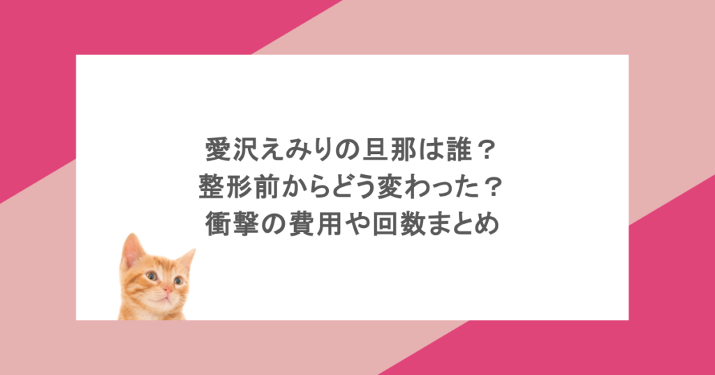 愛沢えみりの旦那は誰？整形前からどう変わった？衝撃の費用や回数まとめ