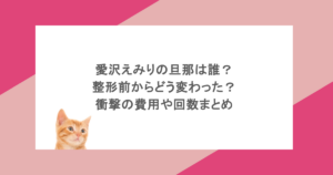 愛沢えみりの旦那は誰？整形前からどう変わった？衝撃の費用や回数まとめ