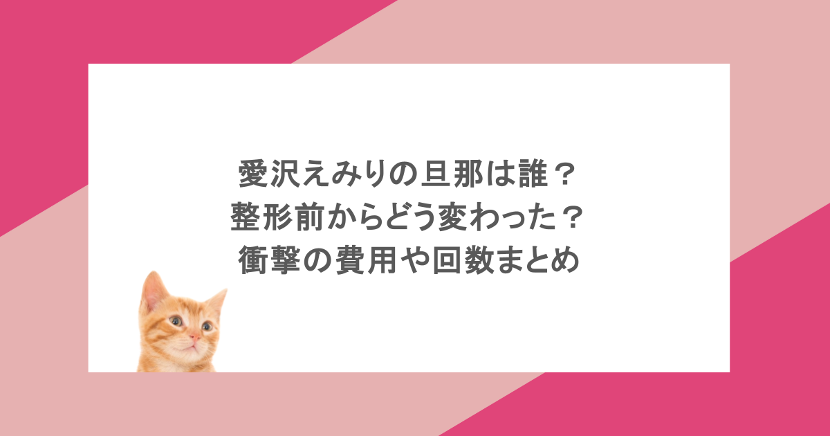愛沢えみりの旦那は誰?整形前からどう変わった?衝撃の費用や回数まとめ
