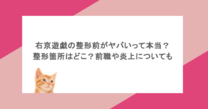 右京遊戯の整形前がヤバいって本当？整形箇所はどこ？前職や炎上についても