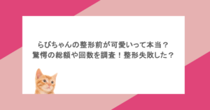 らびちゃんの整形前が可愛いって本当?驚愕の総額や回数を調査!整形失敗した?