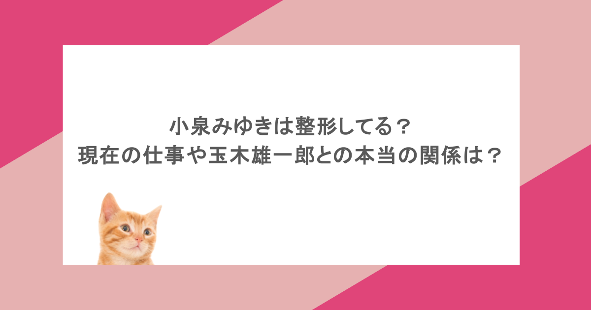 小泉みゆきは整形してる？現在の仕事や玉木雄一郎との本当の関係は？