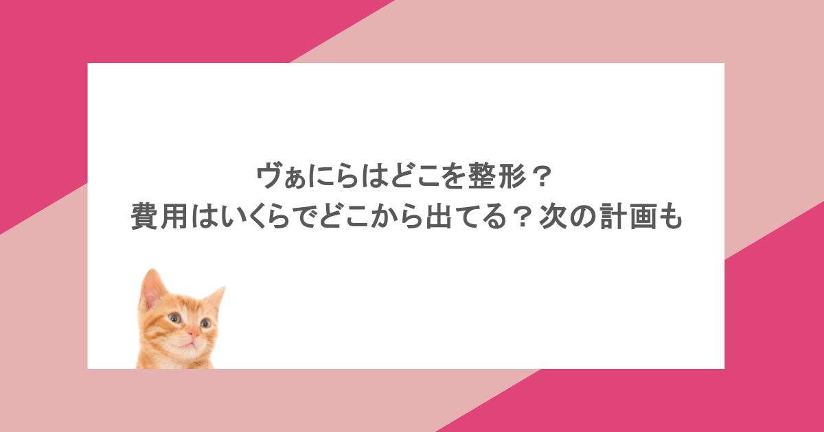 ヴぁにらはどこを整形?費用はいくらでどこから出てる?次の計画も