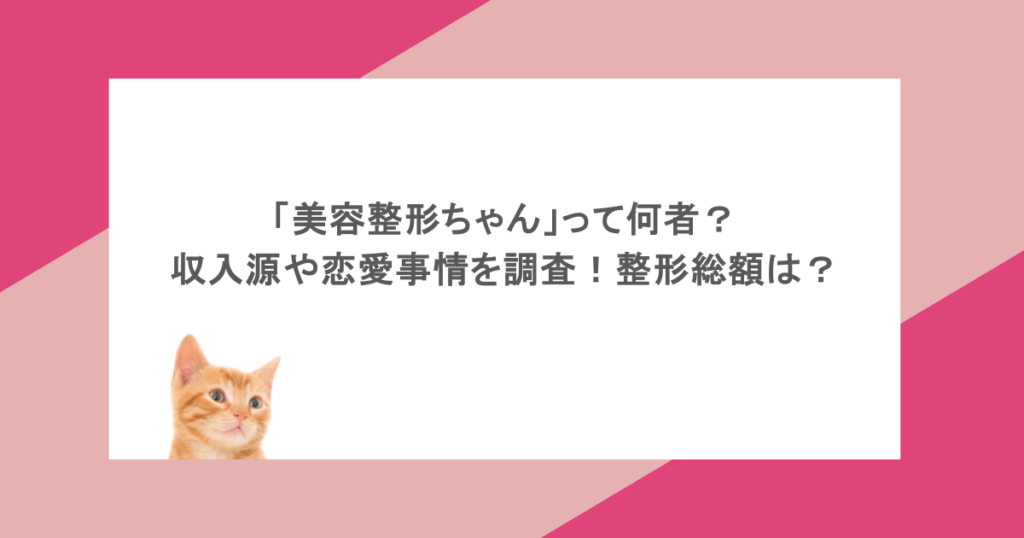 「美容整形ちゃん」って何者?収入源や恋愛事情を調査!整形総額は?