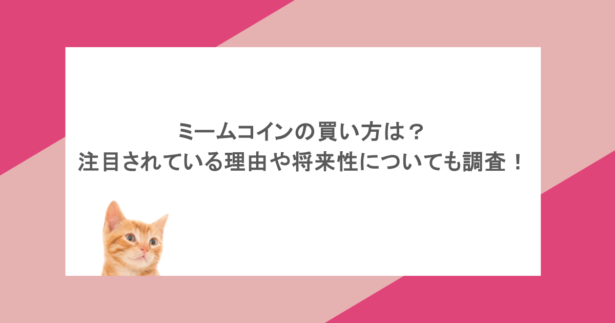 ミームコインの買い方は？注目されている理由や将来性についても調査！