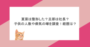 夏菜は整形した？旦那は社長？子供の人数や病気の噂を調査！経歴は？