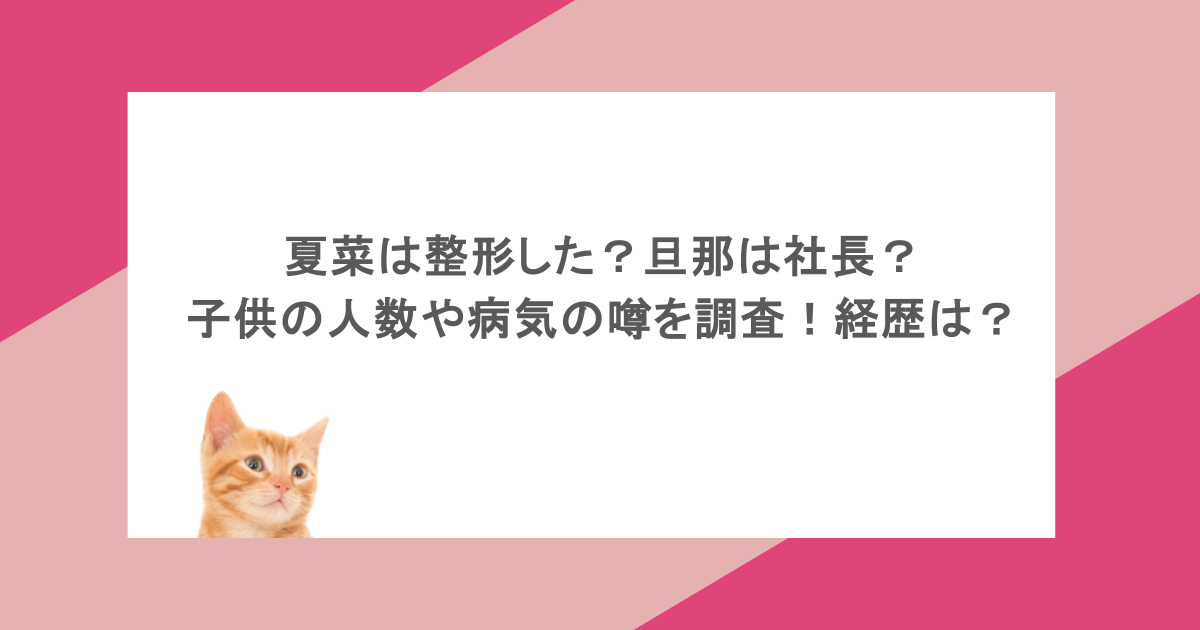夏菜は整形した？旦那は社長？子供の人数や病気の噂を調査！経歴は？