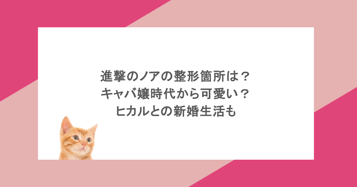 進撃のノアの整形箇所は？キャバ嬢時代から可愛い？ヒカルとの新婚生活も