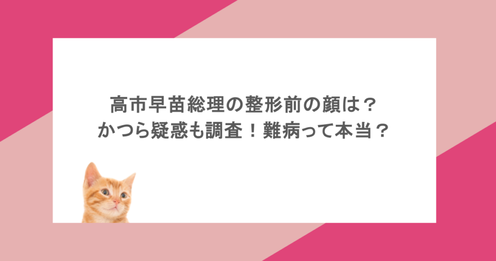 高市早苗総理の整形前の顔は？かつら疑惑も調査！難病って本当？