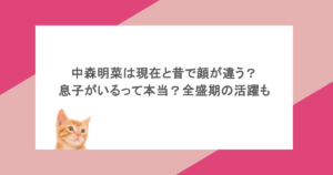 中森明菜は現在と昔で顔が違う？息子がいるって本当？全盛期の活躍も