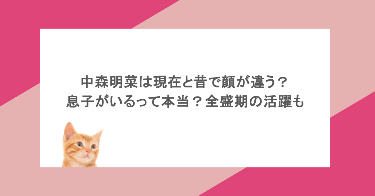 中森明菜は現在と昔で顔が違う？息子がいるって本当？全盛期の活躍も