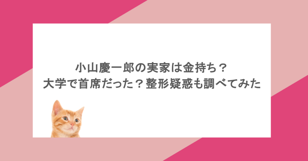 小山慶一郎の実家は金持ち?大学で首席だった?整形疑惑も調べてみた