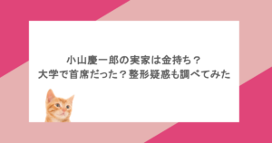 小山慶一郎の実家は金持ち?大学で首席だった?整形疑惑も調べてみた