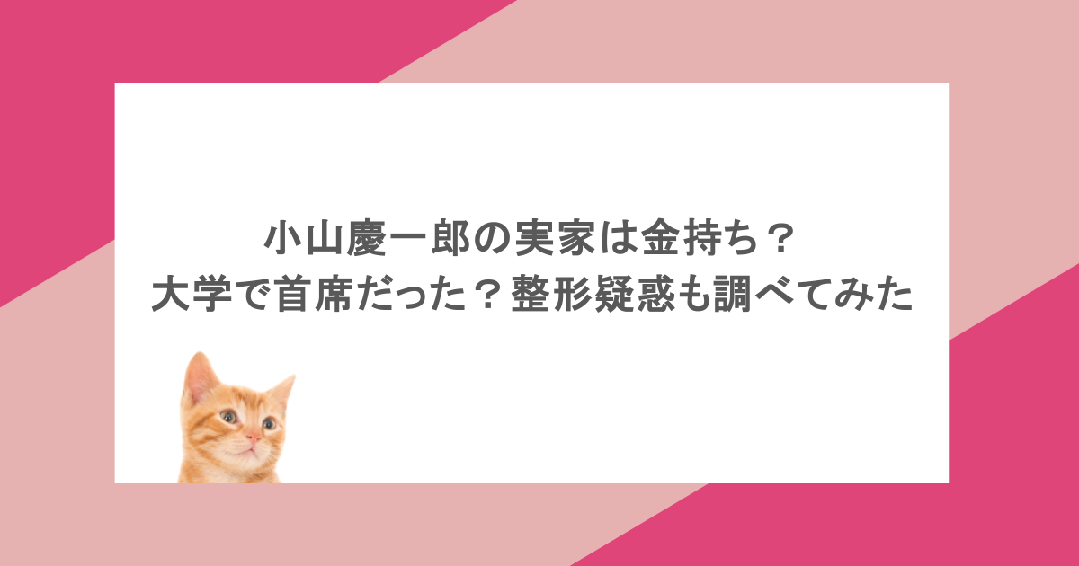 小山慶一郎の実家は金持ち？大学で首席だった？整形疑惑も調べてみた