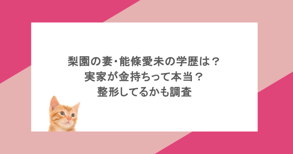 梨園の妻・能條愛未の学歴は?実家が金持ちって本当?整形してるかも調査