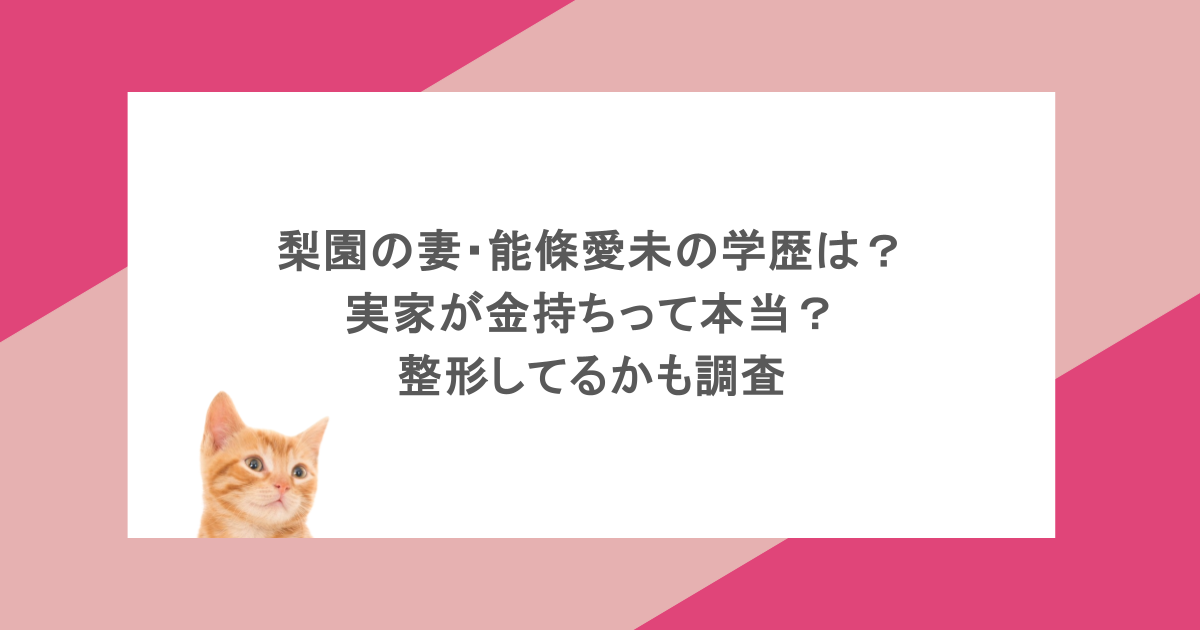 梨園の妻・能條愛未の学歴は？実家が金持ちって本当？整形してるかも調査